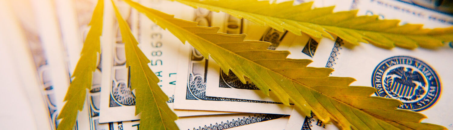 Cbd accounting solutions
